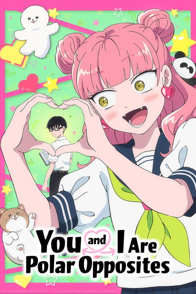 You and I Are Polar Opposites poster
