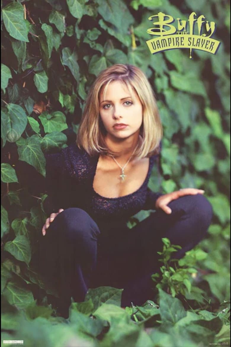 Buffy the Vampire Slayer